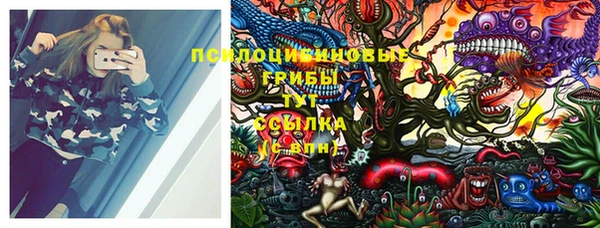 тгк Алексеевка