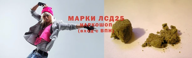 СК Алзамай