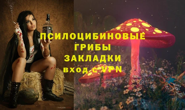 СК Алзамай