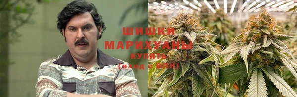 СК Алзамай