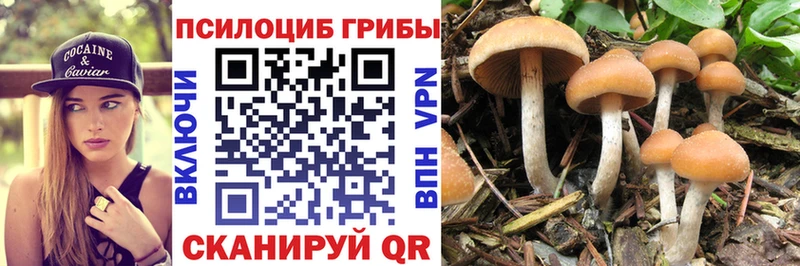 Галлюциногенные грибы мицелий  blacksprut как войти  Бодайбо 